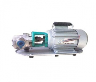 WCB手提式不銹鋼齒輪油泵